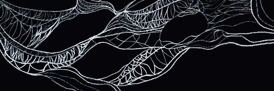 spoooklin's profile banner image