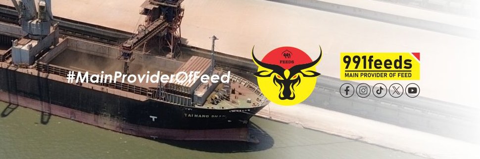 991Feeds's profile banner image