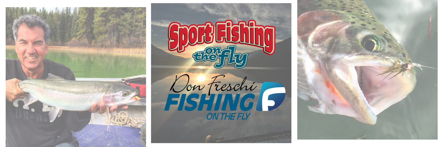 sfotf's profile banner image