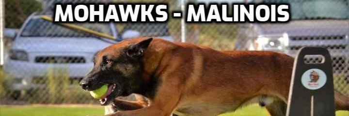 MohawkJohn1's profile banner image