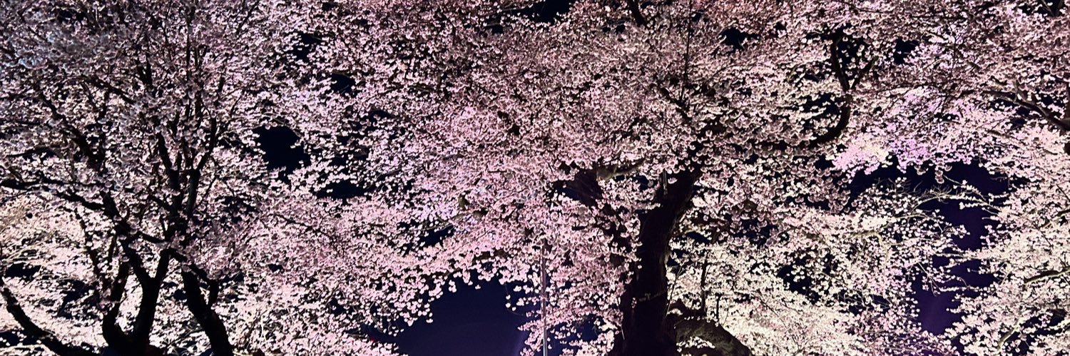 tam0429's profile banner image