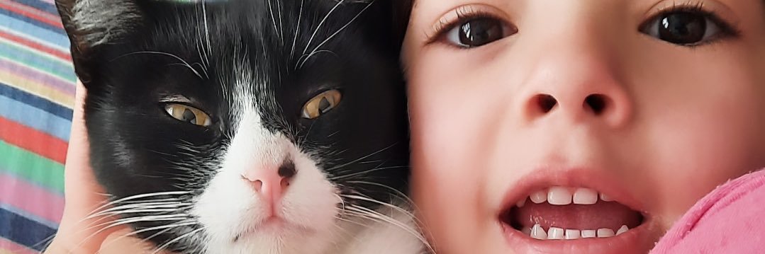 Florrcorrea's profile banner image