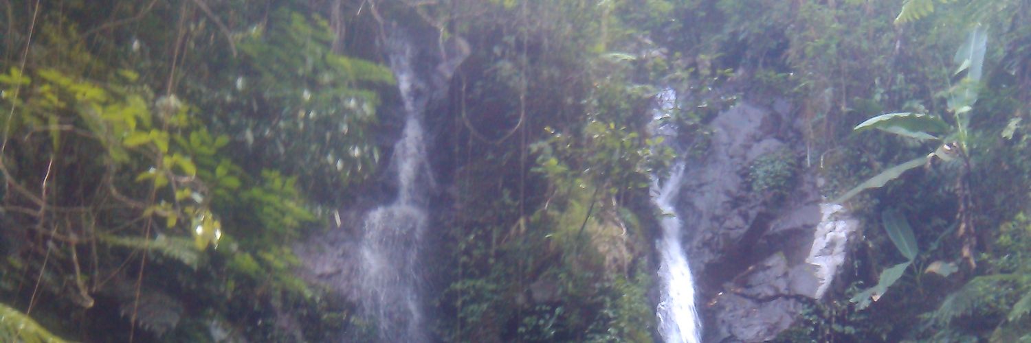 nathan || D'Motards banner