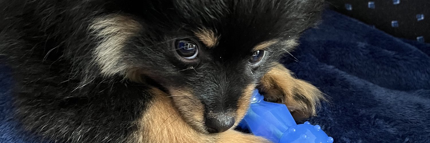 LittlejCormell's profile banner image