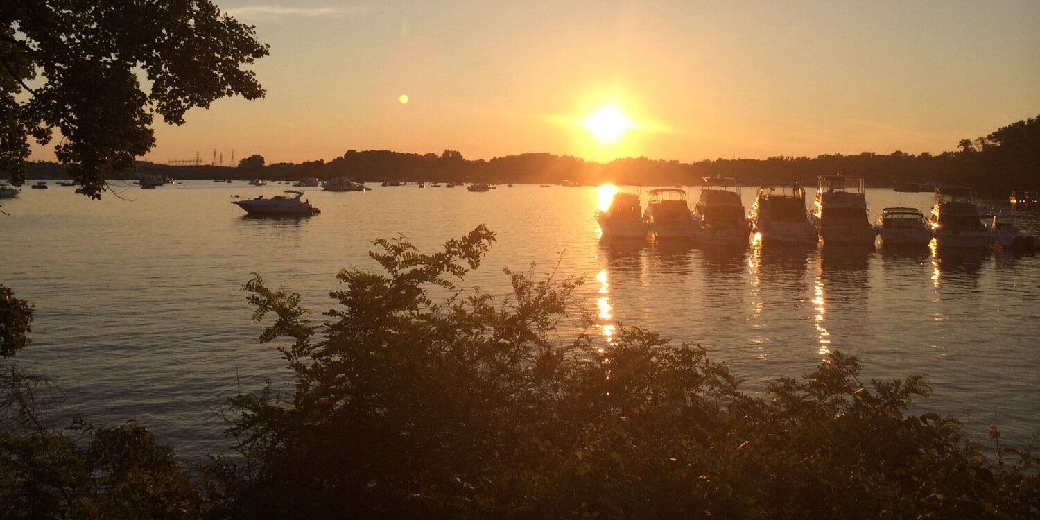 Maria Mas-effler banner