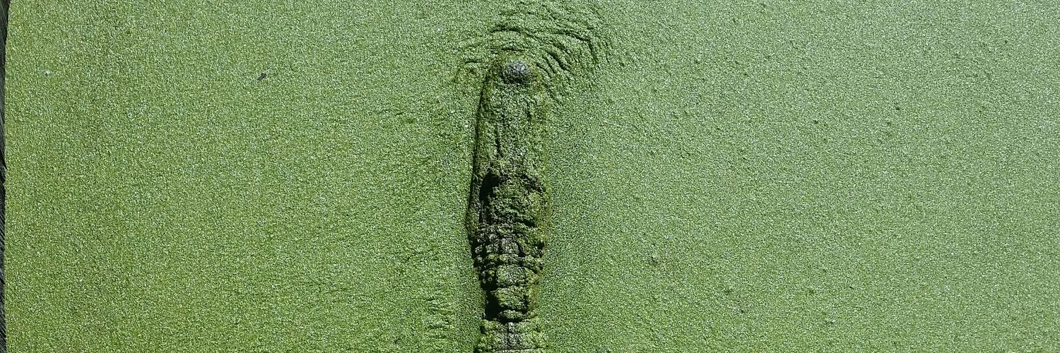 Jamie Tamburo🌊🇺🇦🌻🇺🇲 banner