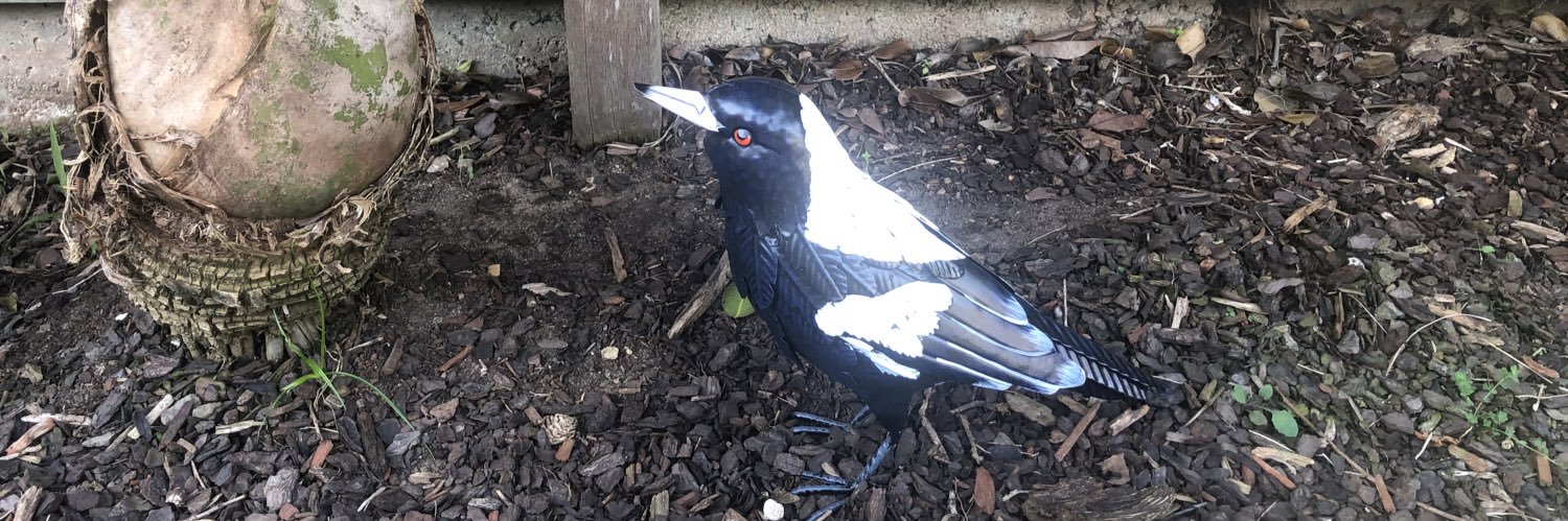 Magpies142's profile banner image