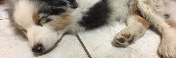 bryan_g_mann Profile Banner