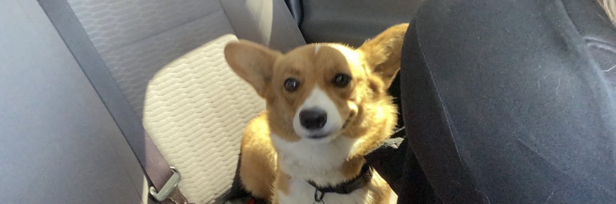 The_greatJ's profile banner image