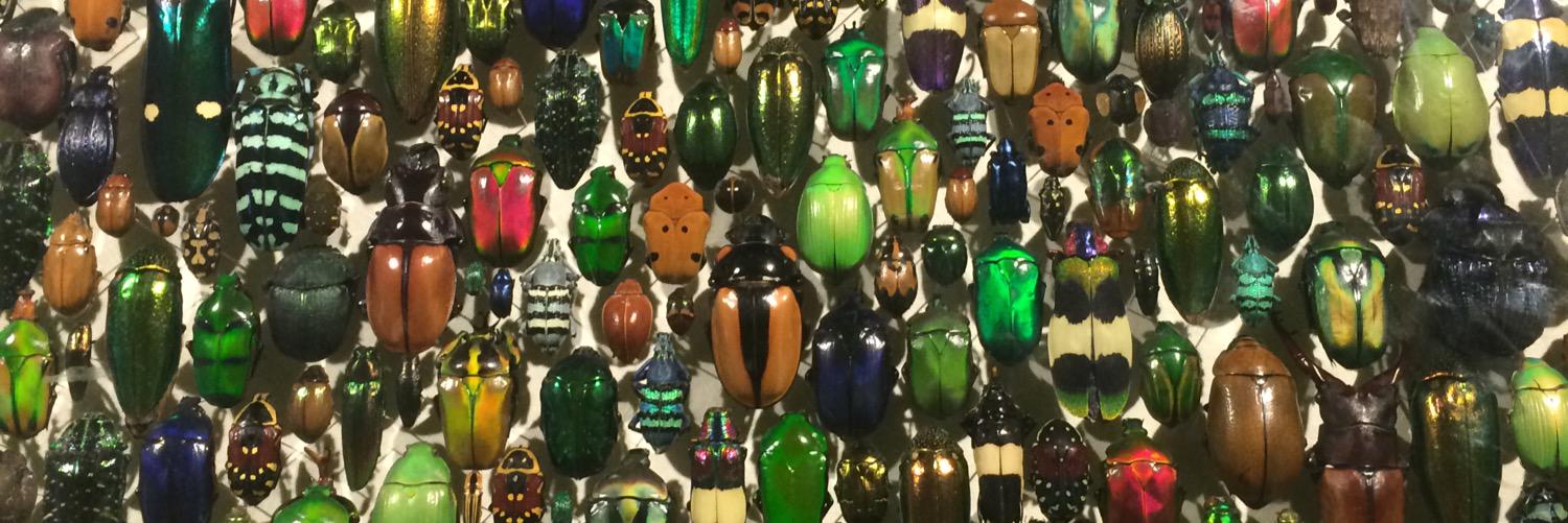 Emily Baron Cadloff banner