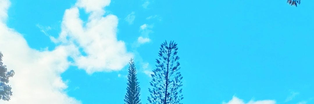rodelynMR97's profile banner image