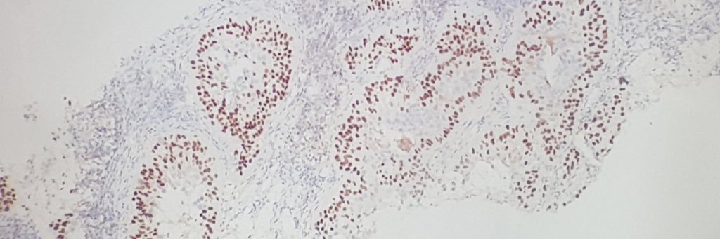 Ma.Luisa Cabanas banner