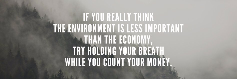 Ashima Avasthi banner