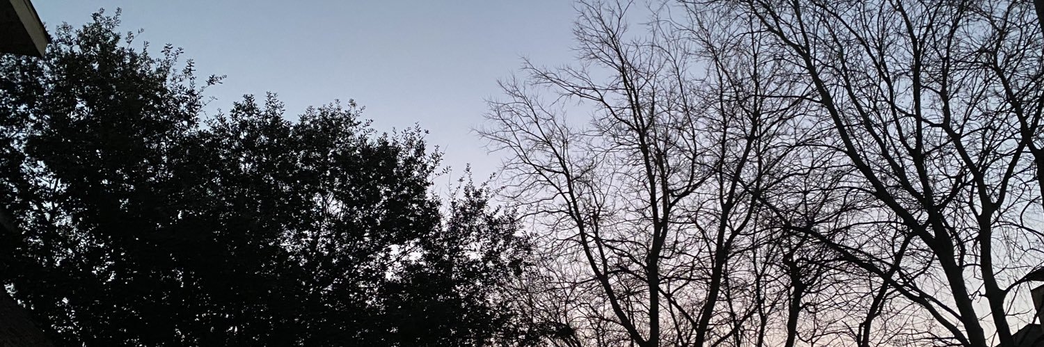 Steph banner
