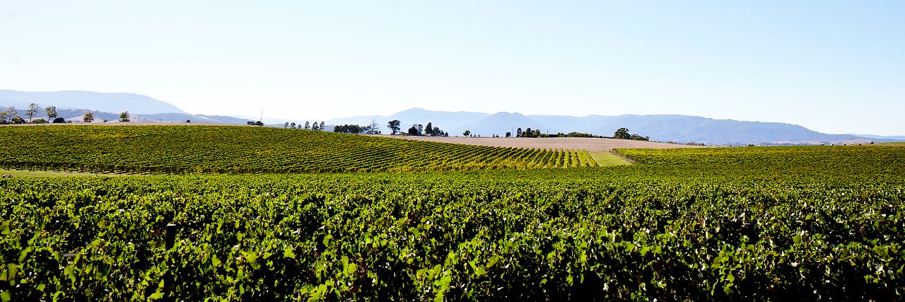 ZonzoEstate's profile banner image