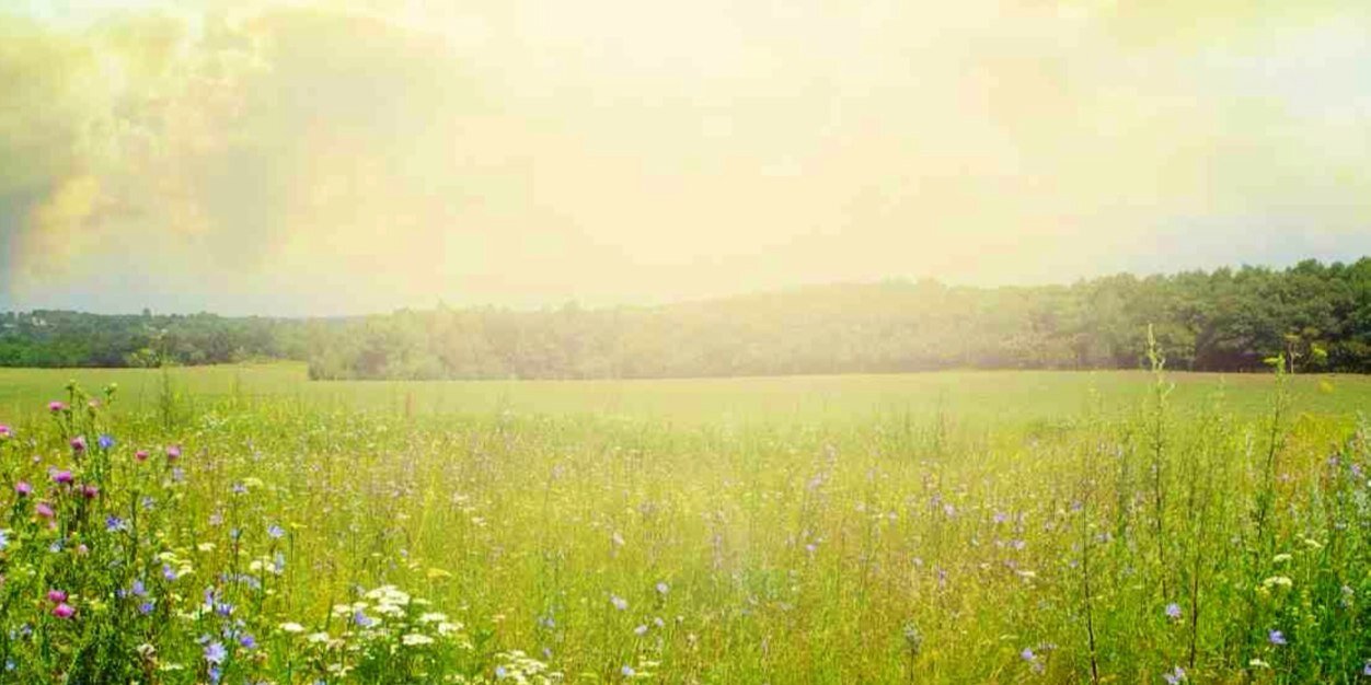 بندر طلعت حموه 🇸🇦 banner