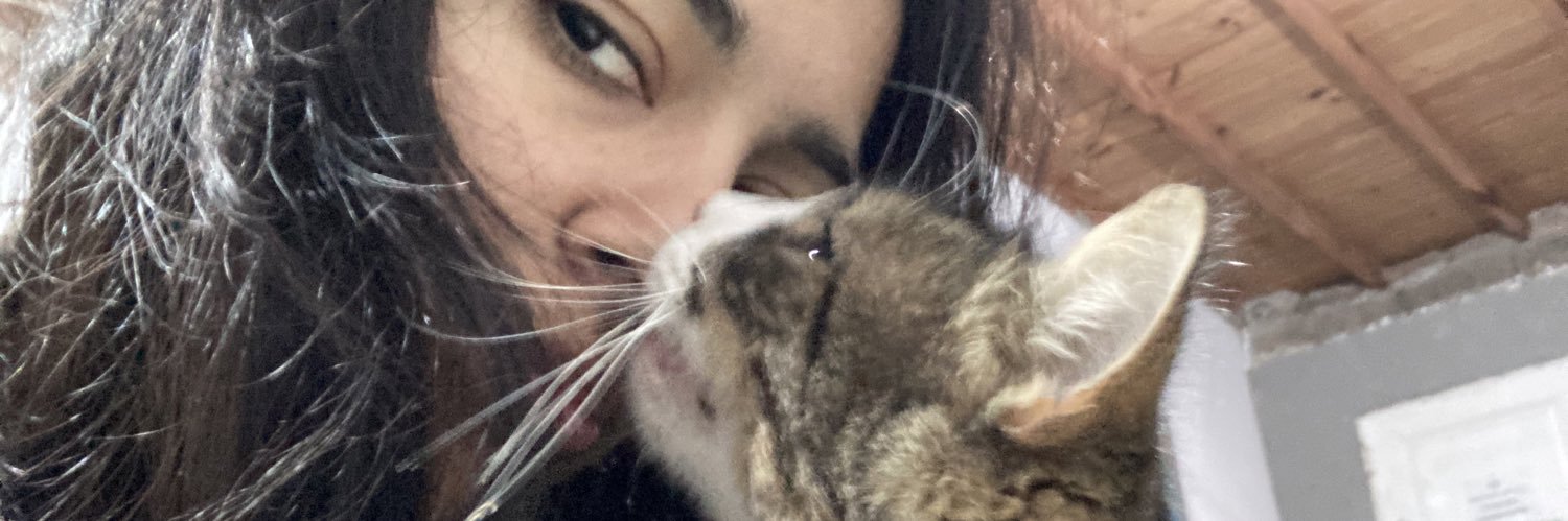 GenesisLRuiz's profile banner image