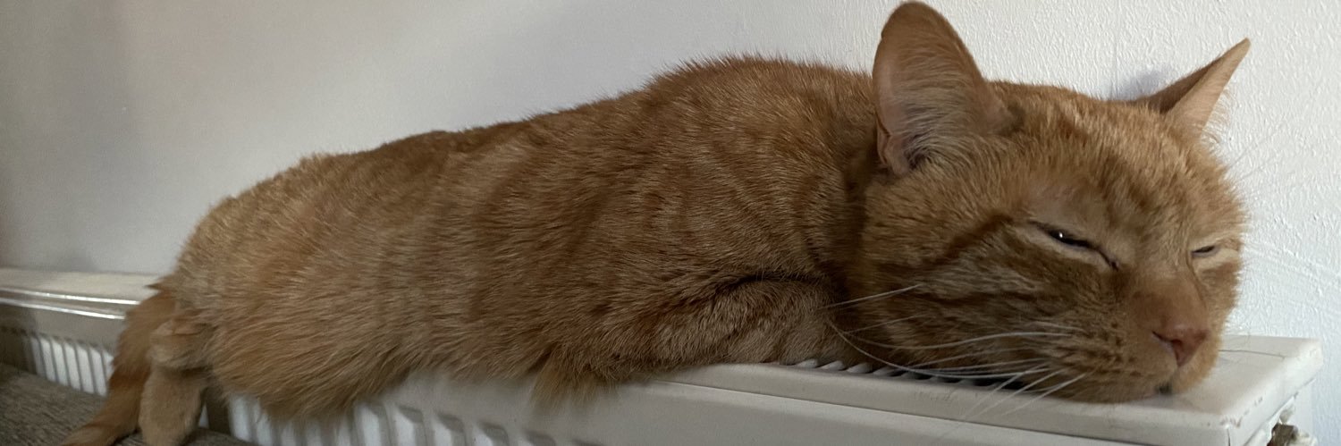 Abbi Garton-Crosbie banner