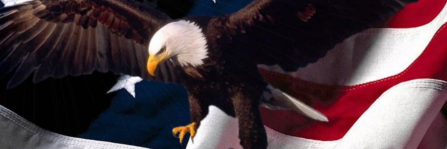 Alexandre_CSK's profile banner image