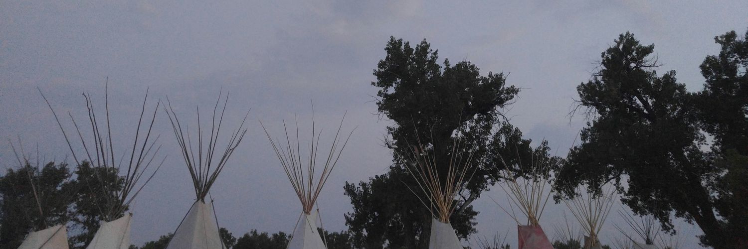 wjbuffalo49's profile banner image