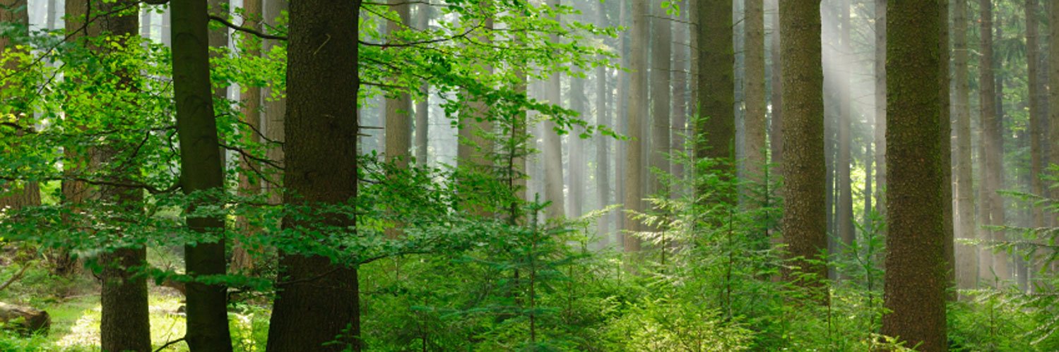 FindingTimeNow's profile banner image