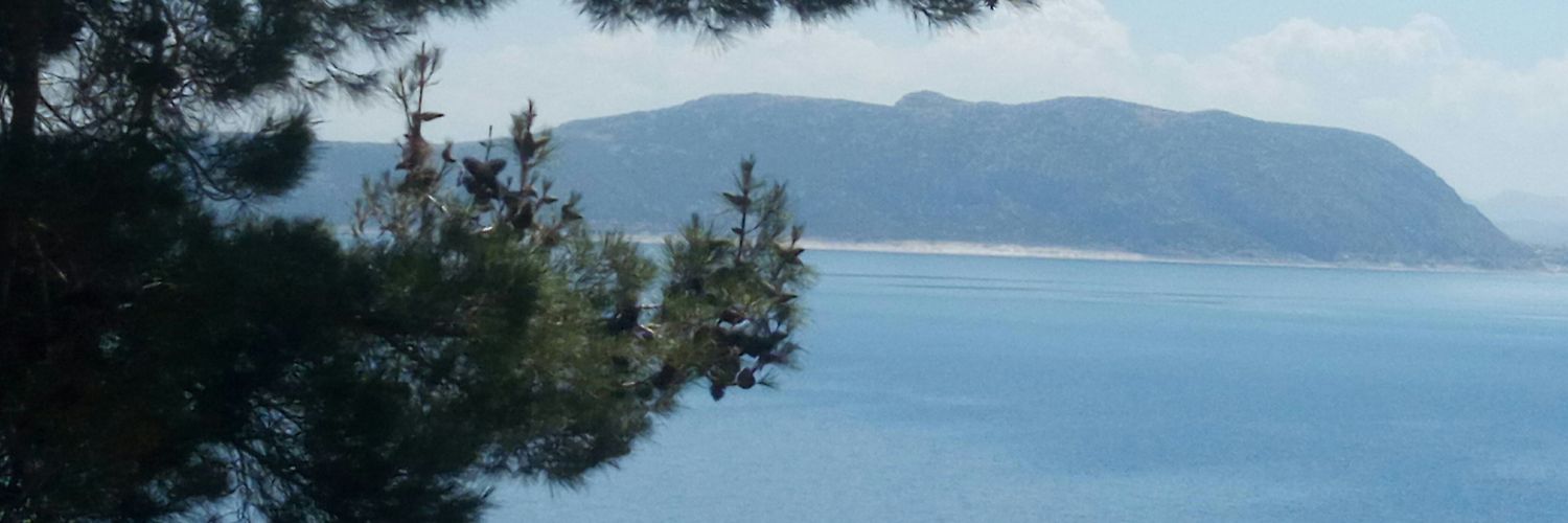 bsmsk11's profile banner image
