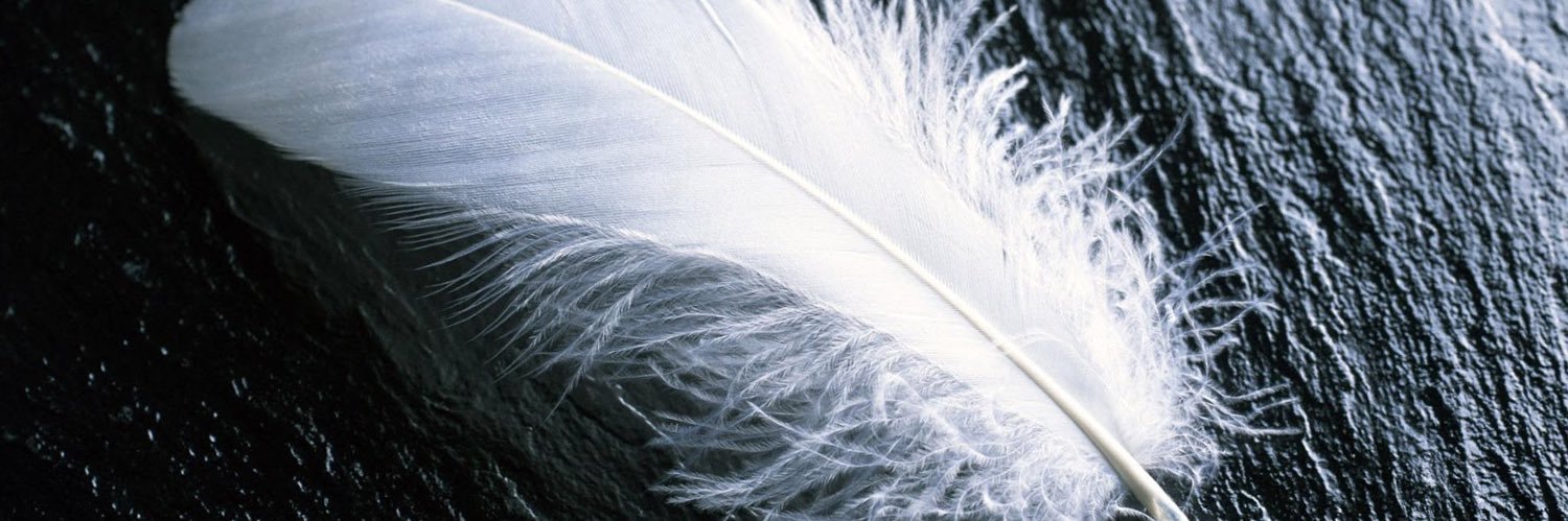 IILVVTT's profile banner image