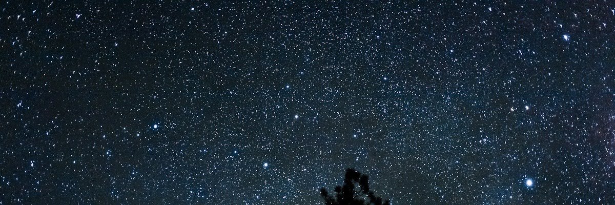 ridhi02's profile banner image