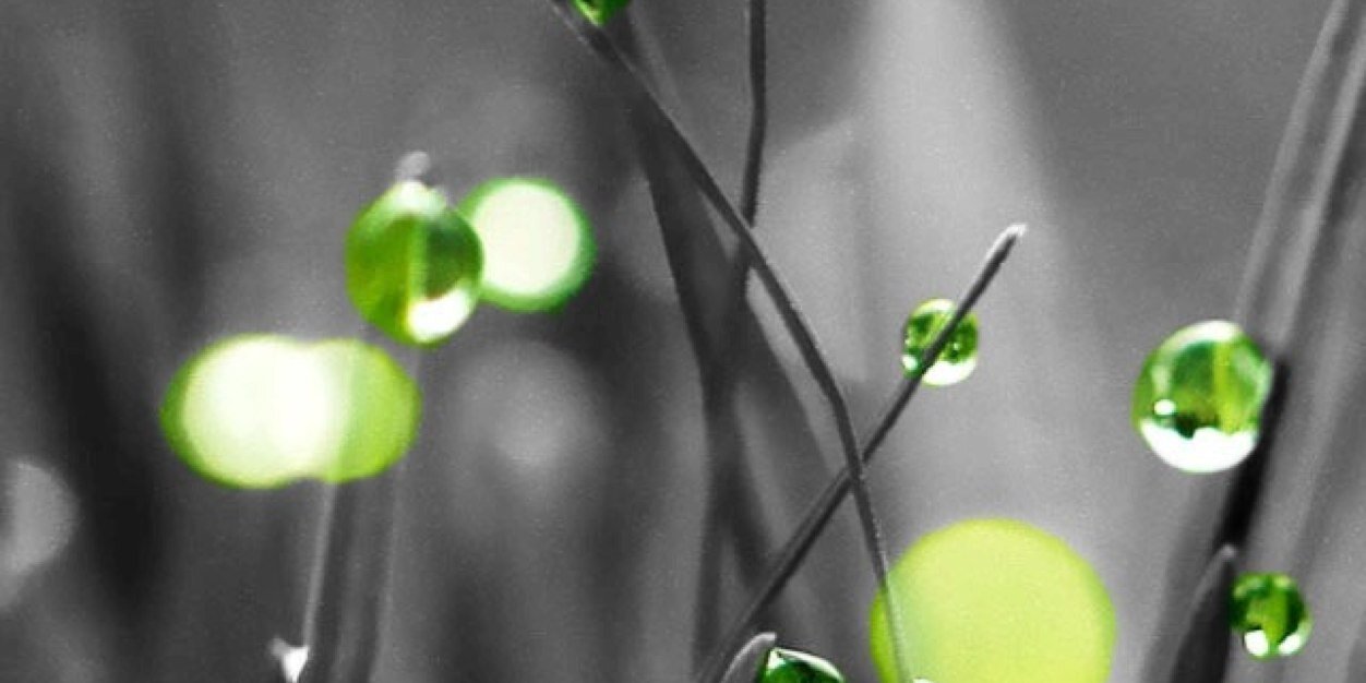 SeanKenta's profile banner image