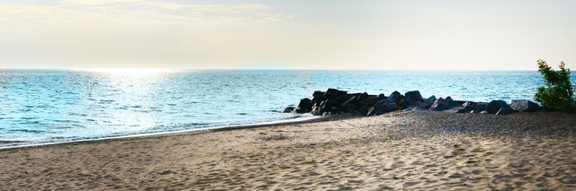 ReneMNelson's profile banner image