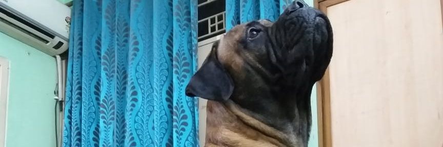 avykc's profile banner image