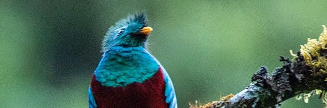 jaywant0126's profile banner image
