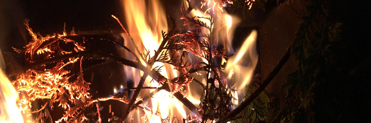 mdzk's profile banner image
