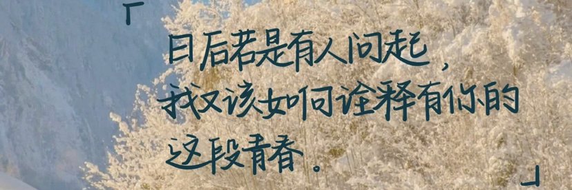 奶思兔米鱿🦑（互关互粉） banner