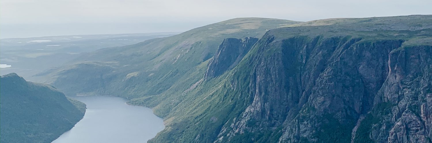 Alysha Pelley banner