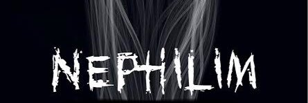 Nephzi's profile banner image