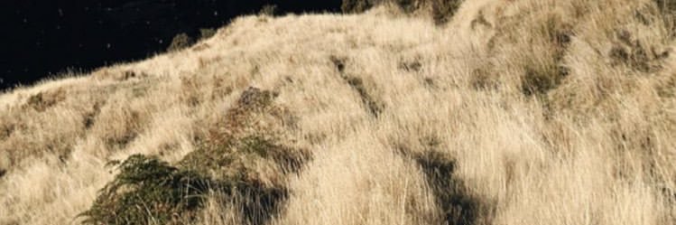 utterlybright's profile banner image