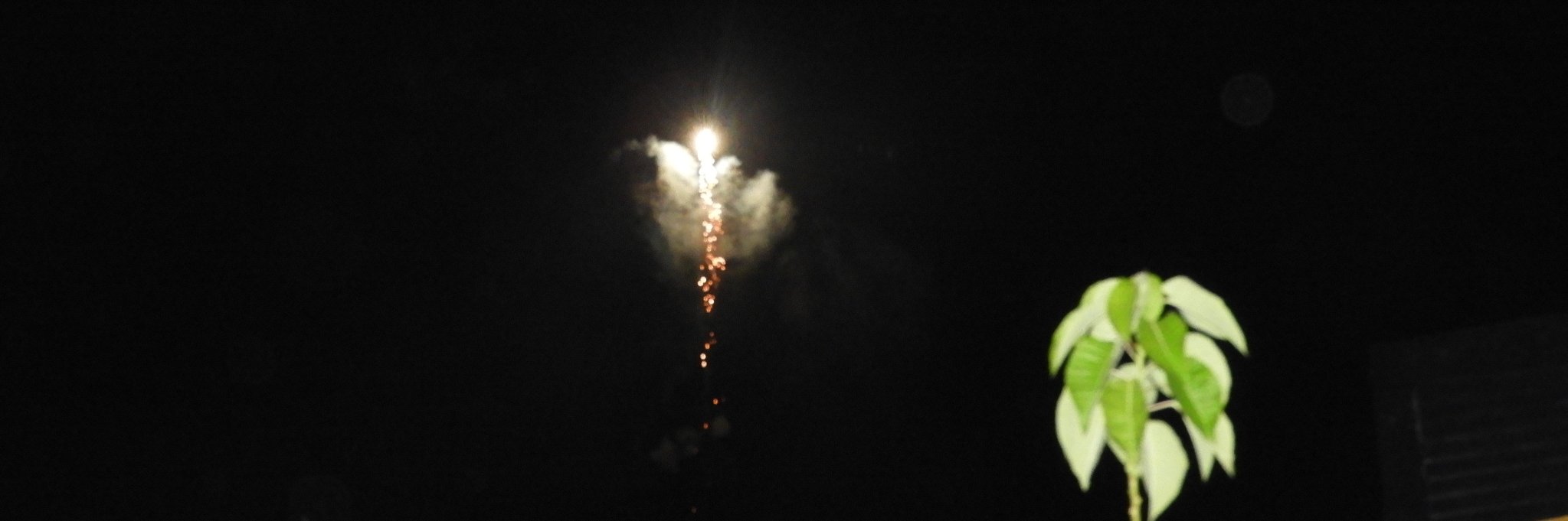 adiidutta's profile banner image