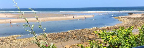 ashkalei Profile Banner