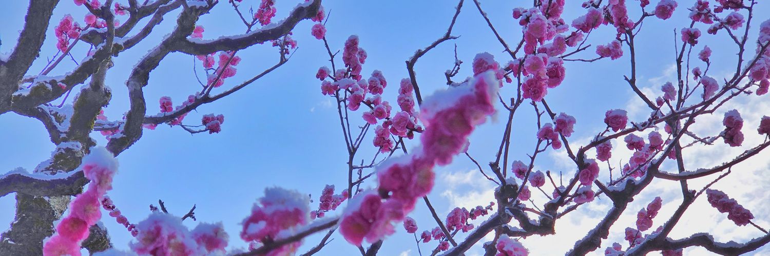 大ちゃn banner