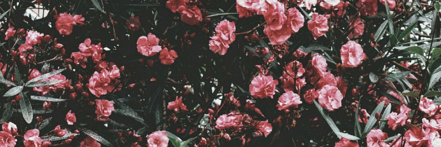 vikapratiwi22's profile banner image