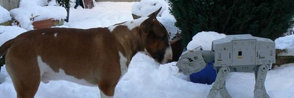 flyingcod Profile Banner