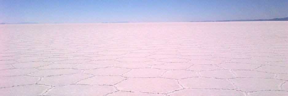 Deborah da Silva banner