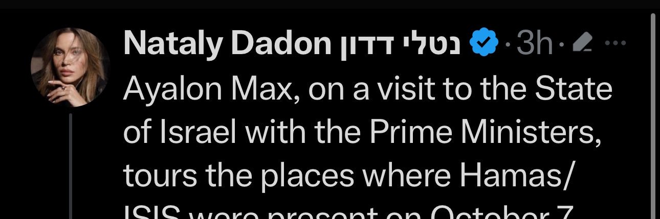 ayalon_max's profile banner image