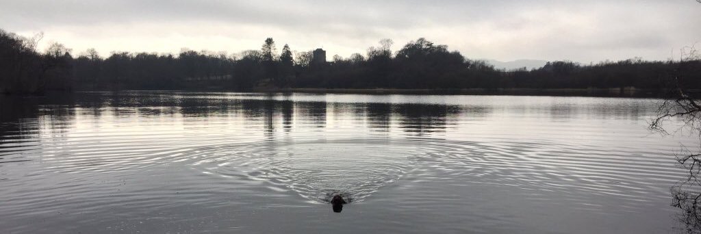 Mugdock Country Park banner