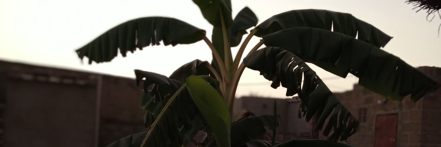 IAbdounasser's profile banner image