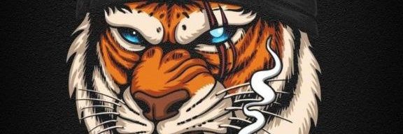 Munay_Tempt's profile banner image
