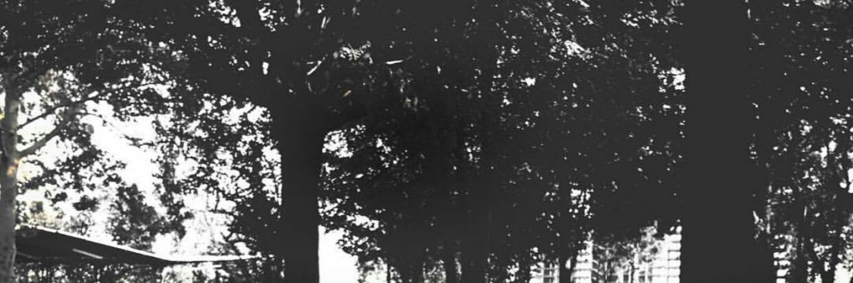 nmaellen's profile banner image