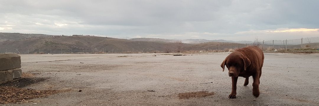 basakvl's profile banner image