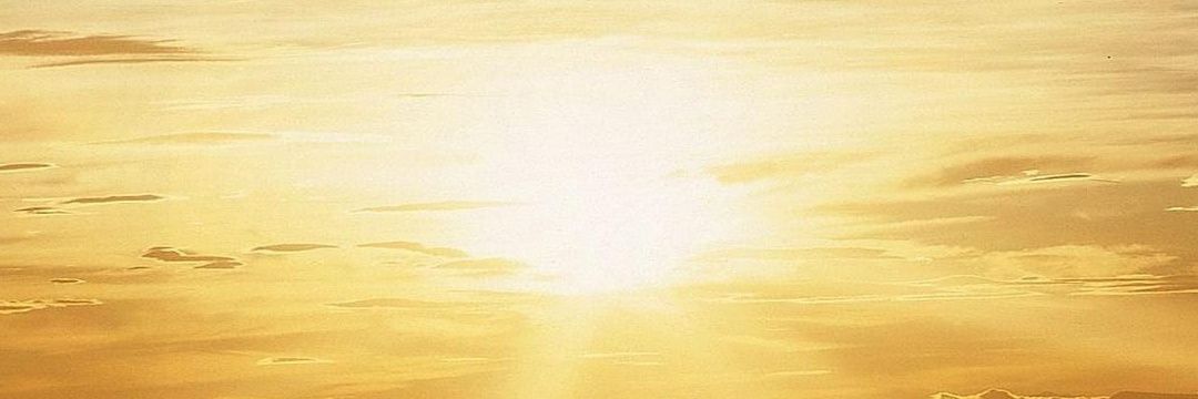 shekharsaysso's profile banner image